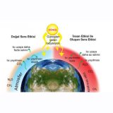 SERA GAZI EMİSYONLARININ İZLENMESİ, RAPORLANMASI VE DOĞRULANMASI EĞİTİMİ