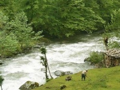 TABİATI VE BİYOLOJİK ÇEŞİTLİLİĞİ KORUMA KANUNU TASARISI BU HALİYLE KABUL EDİLEMEZ