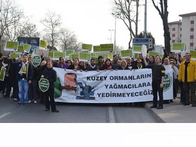 İSTANBULLULAR SESLENDİ: KUZEY ORMANLARINI YEDİRTMEYECEĞİZ!