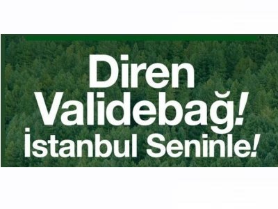 DİREN VALİDEBAĞ