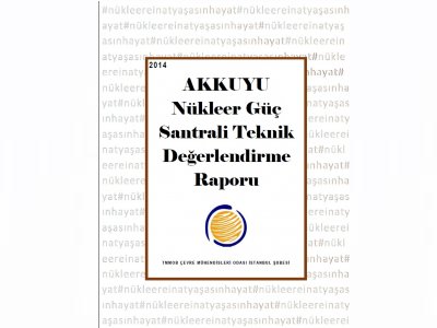 AKKUYU NÜKLEER GÜÇ SANTRALİ TEKNİK DEĞERLENDİRME RAPORU