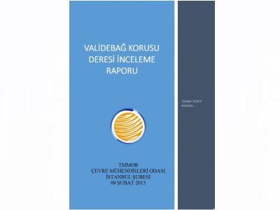 VALİDEBAĞ KORUSU DERESİ İNCELEME RAPORU