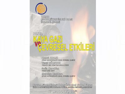 PANELKAYA GAZI VE ÇEVRESEL ETKİLERİ