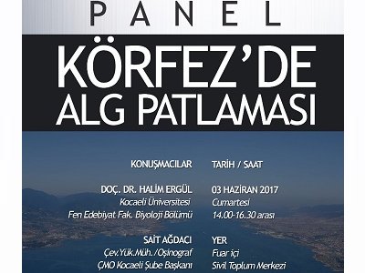 PANELKÖRFEZ DE ALG PATLAMASI