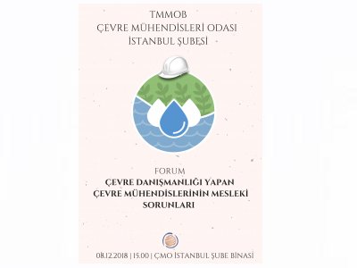 ÇEVRE DANIŞMANLIĞI YAPAN ÇEVRE MÜHENDİSLERİNİN MESLEKİ SORUNLARI